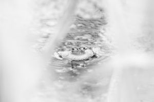 _M6R0529-Edit.jpg